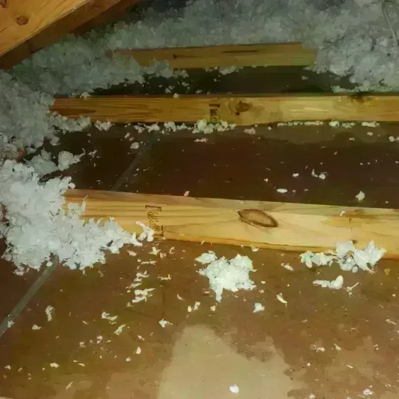 Attic Water Damage in Big Bend, WI